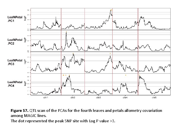 Figure S 7. QTL scan of the PCAs for the fourth leaves and petals