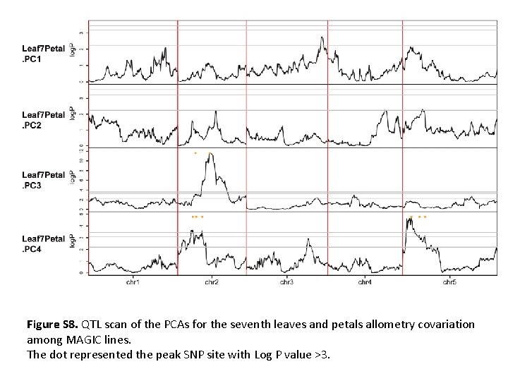 Figure S 8. QTL scan of the PCAs for the seventh leaves and petals