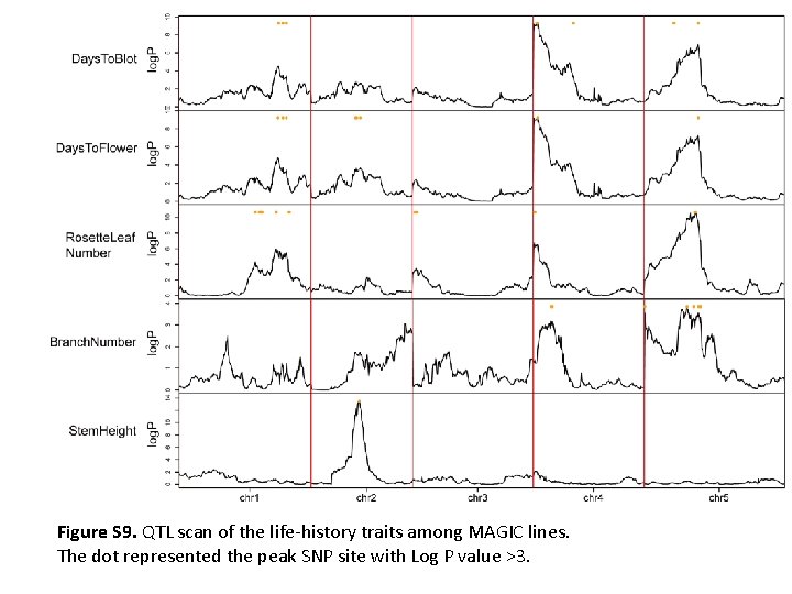 Figure S 9. QTL scan of the life-history traits among MAGIC lines. The dot