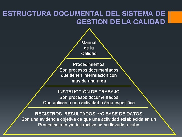 ESTRUCTURA DOCUMENTAL DEL SISTEMA DE GESTION DE LA CALIDAD Manual de la Calidad Procedimientos