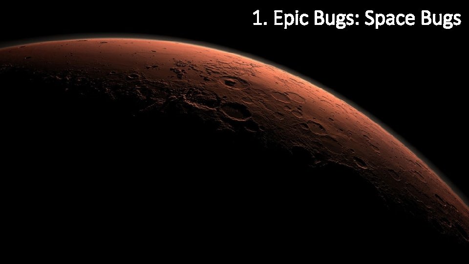 1. Epic Bugs: Space Bugs 