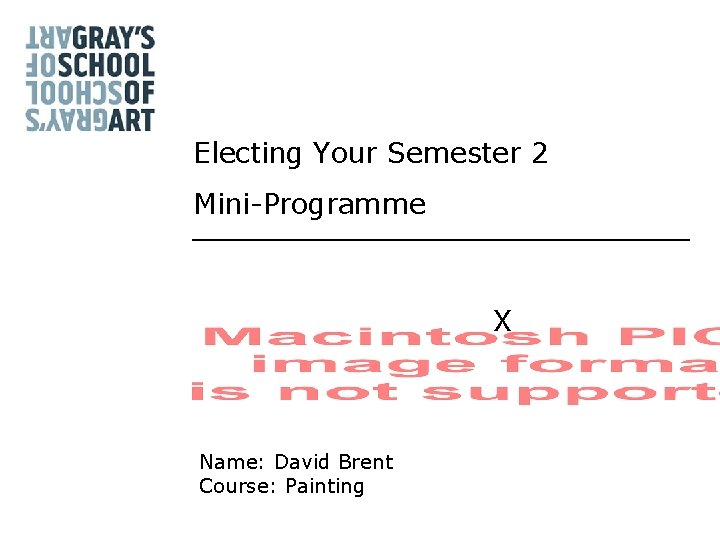 Electing Your Semester 2 Mini-Programme X Name: David Brent Course: Painting 