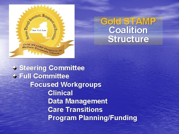 Gold STAMP Coalition Structure Steering Committee Full Committee Focused Workgroups Clinical Data Management Care