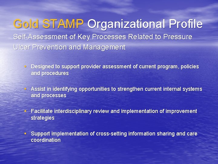 Gold STAMP Organizational Profile Self-Assessment of Key Processes Related to Pressure Ulcer Prevention and