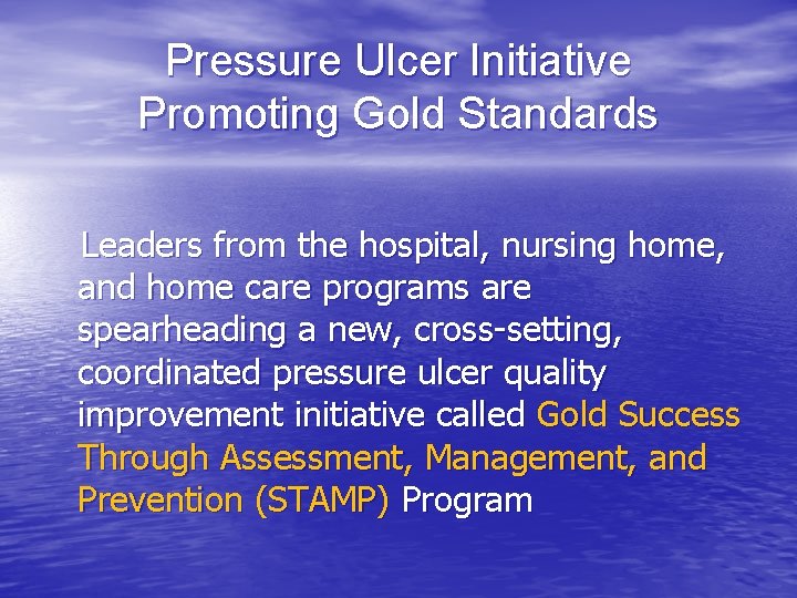 Pressure Ulcer Initiative Promoting Gold Standards Leaders from the hospital, nursing home, and home