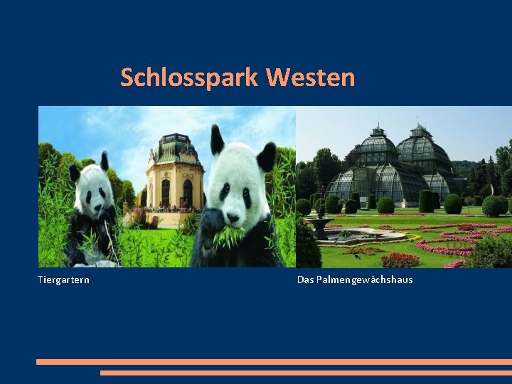 Schlosspark Westen Tiergartern Das Palmengewächshaus 
