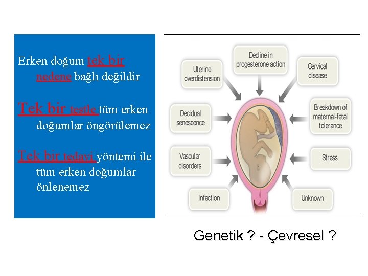 Erken doğum tek bir nedene bağlı değildir Tek bir testle tüm erken doğumlar öngörülemez