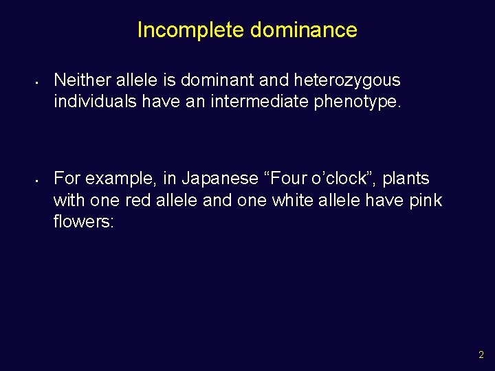 Incomplete dominance • • Neither allele is dominant and heterozygous individuals have an intermediate