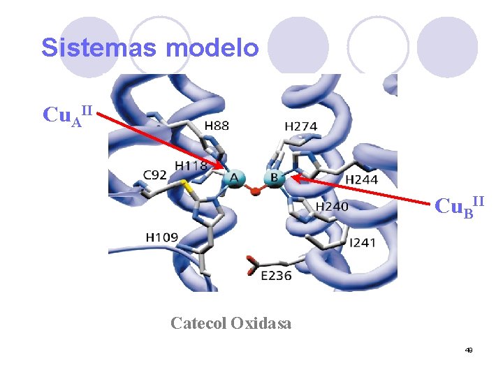 Sistemas modelo Cu. AII Cu. BII Catecol Oxidasa 49 