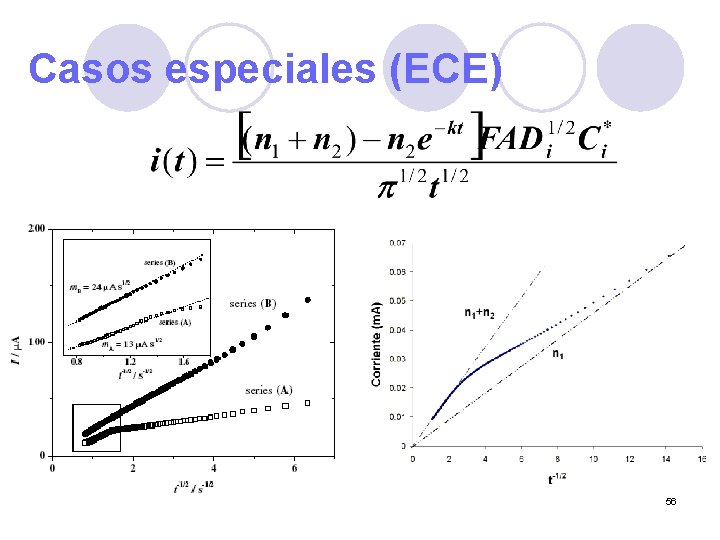 Casos especiales (ECE) 56 