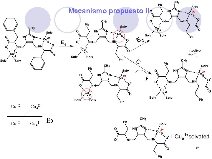 Mecanismo propuesto II Cu. BII Cu. AII Cu. BI Cu. AI E 0 57