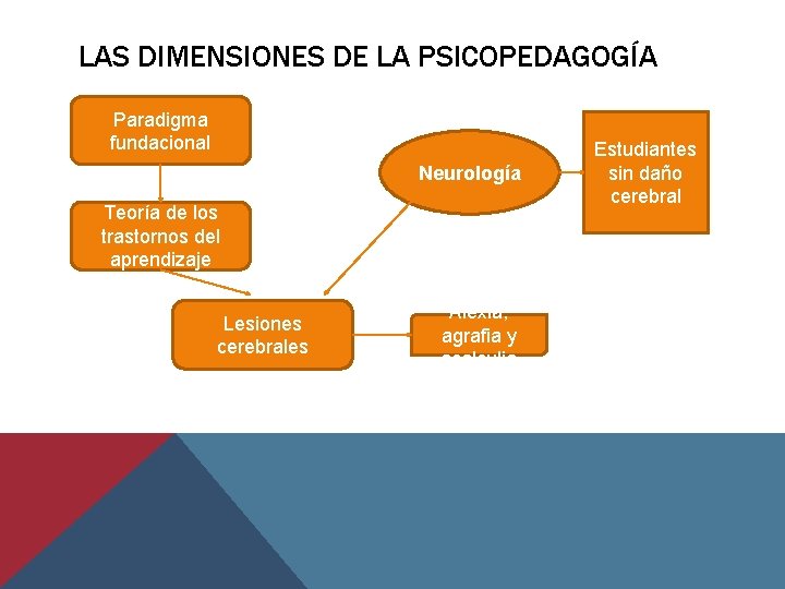 LAS DIMENSIONES DE LA PSICOPEDAGOGÍA Paradigma fundacional Neurología Teoría de los trastornos del aprendizaje