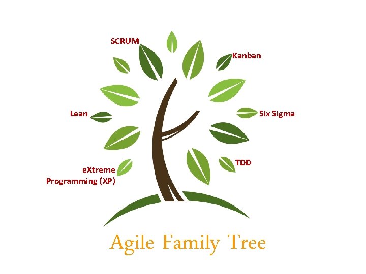 SCRUM Kanban Lean Six Sigma e. Xtreme Programming (XP) TDD Agile Family Tree 