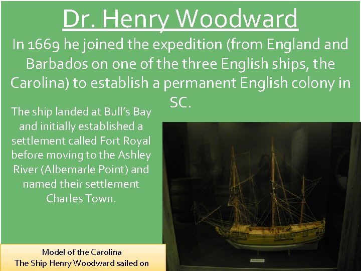 Dr. Henry Woodward In 1669 he joined the expedition (from England Barbados on one