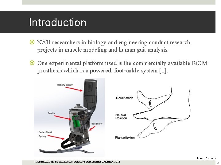 Introduction NAU researchers in biology and engineering conduct research projects in muscle modeling and