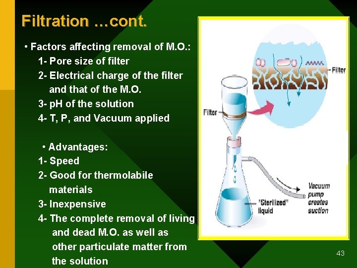 Filtration …cont. • Factors affecting removal of M. O. : 1 - Pore size