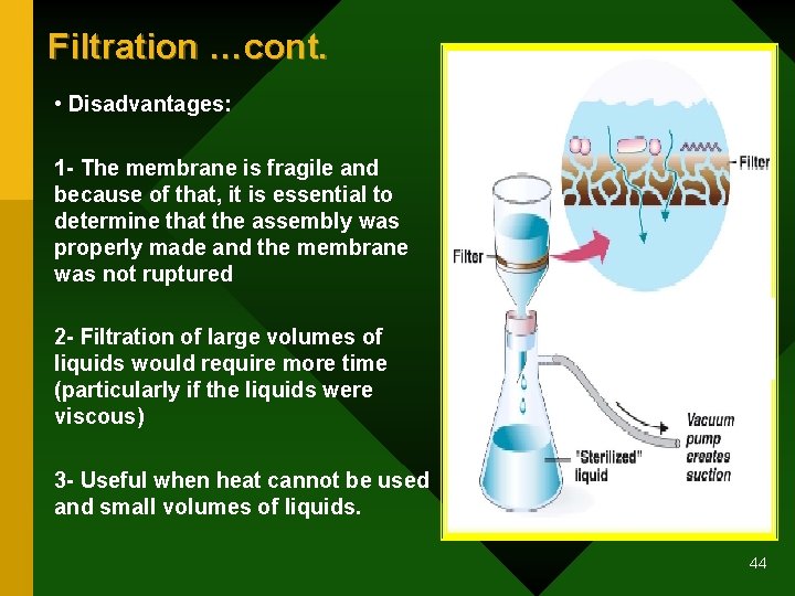 Filtration …cont. • Disadvantages: 1 - The membrane is fragile and because of that,