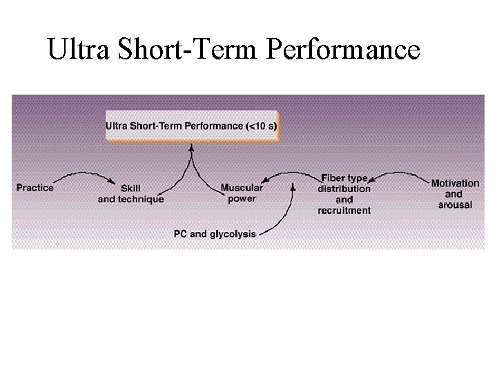 Ultra Short-Term Performance 