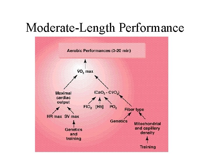 Moderate-Length Performance 