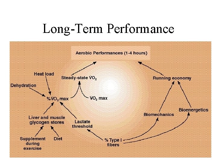 Long-Term Performance 