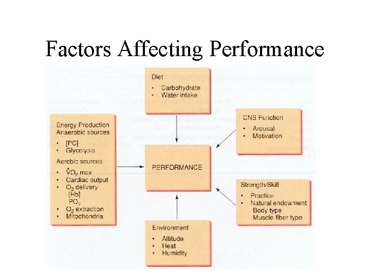 Factors Affecting Performance 