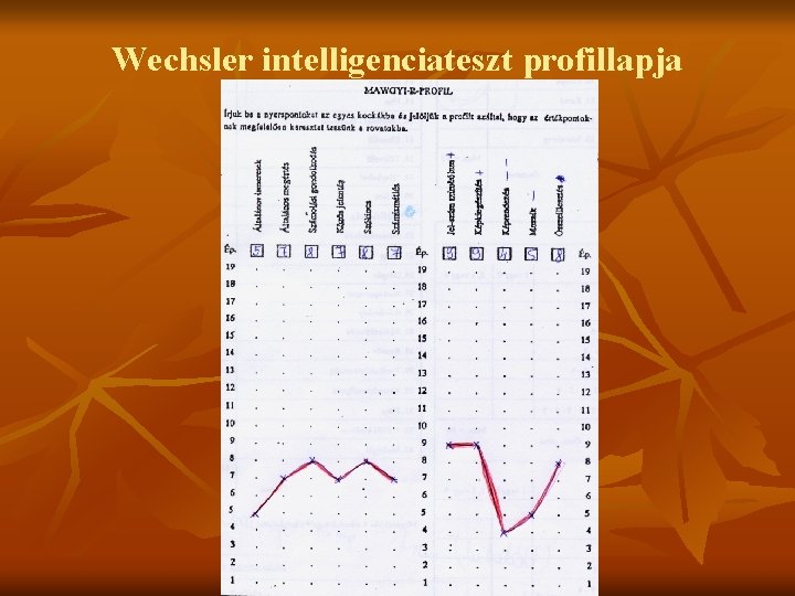 Wechsler intelligenciateszt profillapja 