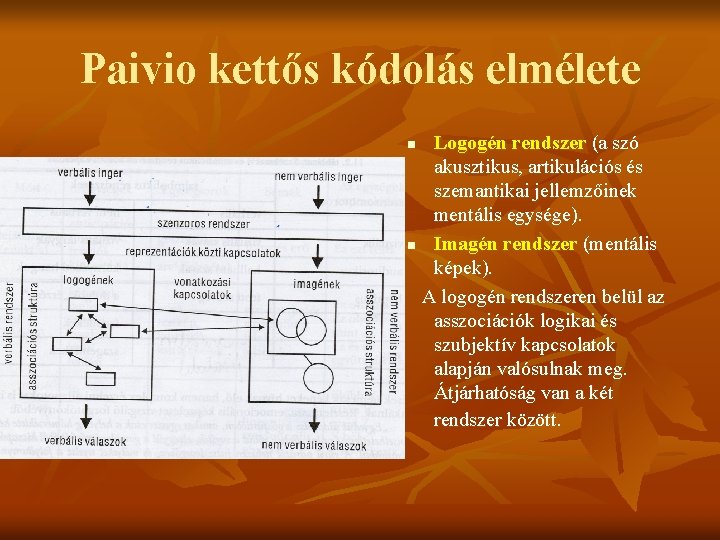 Paivio kettős kódolás elmélete Logogén rendszer (a szó akusztikus, artikulációs és szemantikai jellemzőinek mentális