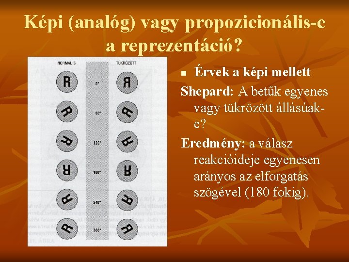 Képi (analóg) vagy propozicionális-e a reprezentáció? Érvek a képi mellett Shepard: A betűk egyenes