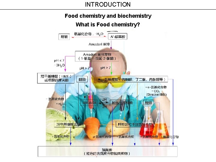 INTRODUCTION Food chemistry and biochemistry What is Food chemistry? 