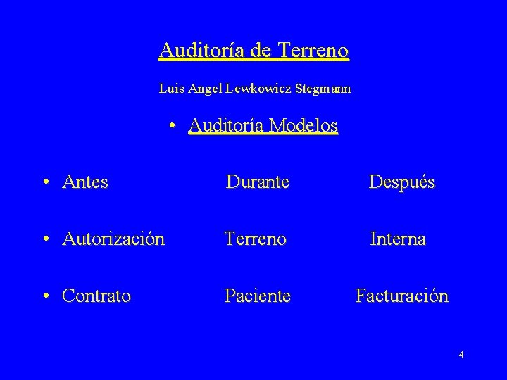 Auditoría de Terreno Luis Angel Lewkowicz Stegmann • Auditoría Modelos • Antes Durante Después