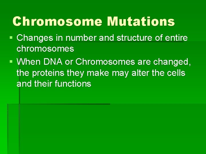 Chromosome Mutations § Changes in number and structure of entire chromosomes § When DNA