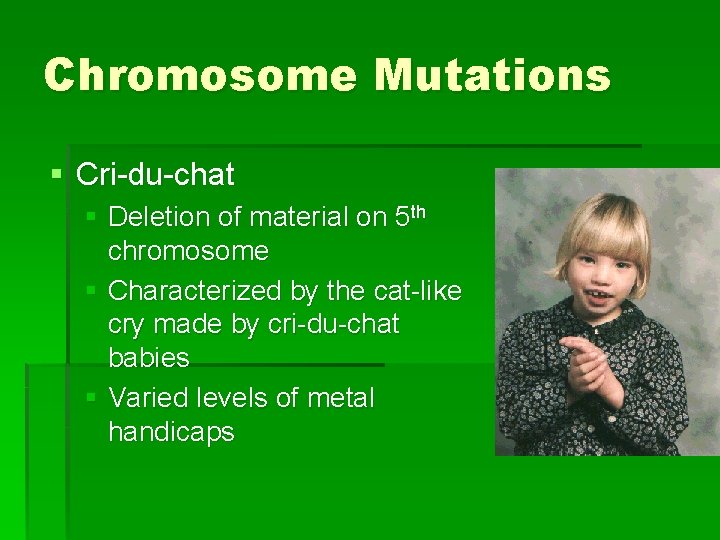 Chromosome Mutations § Cri-du-chat § Deletion of material on 5 th chromosome § Characterized