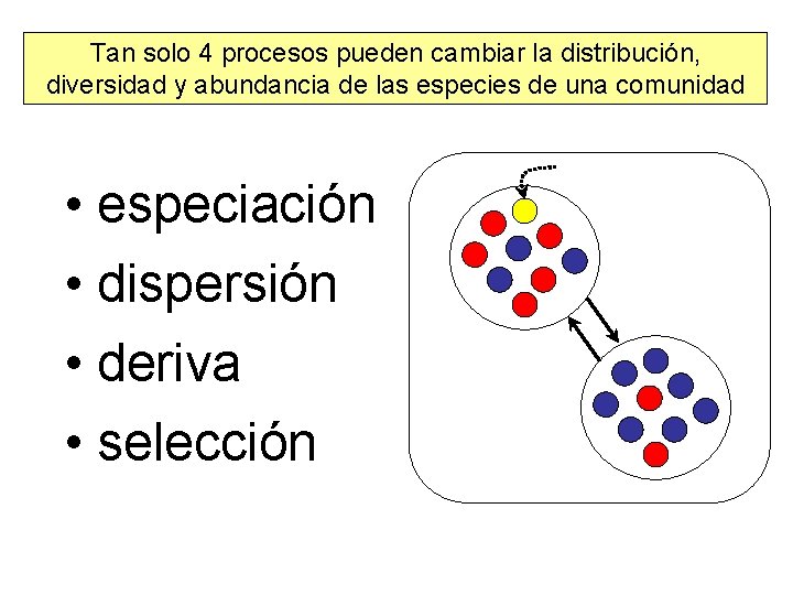 Tan solo 4 procesos pueden cambiar la distribución, diversidad y abundancia de las especies