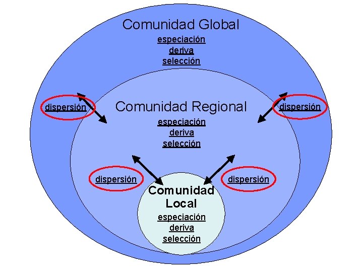Comunidad Global especiación deriva selección dispersión Comunidad Regional especiación deriva selección dispersión Comunidad Local