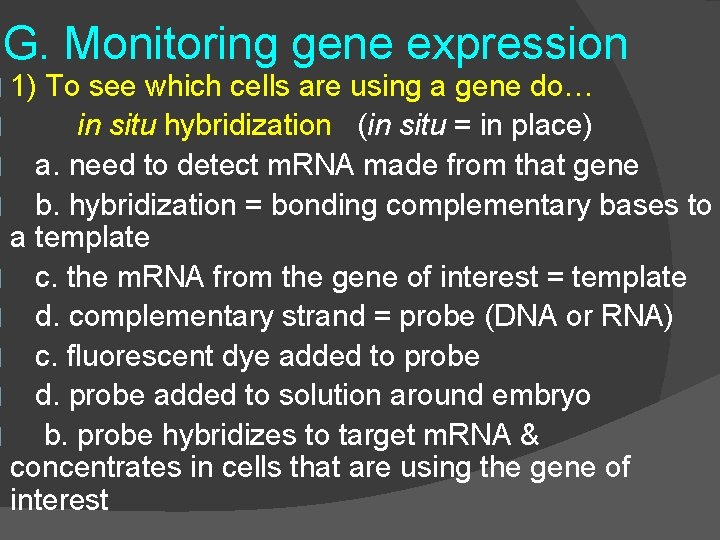 G. Monitoring gene expression � 1) To see which cells are using a gene