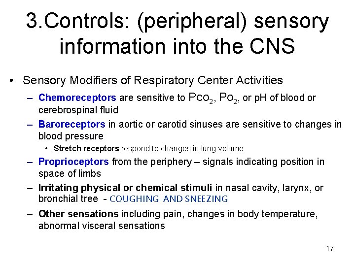 3. Controls: (peripheral) sensory information into the CNS • Sensory Modifiers of Respiratory Center