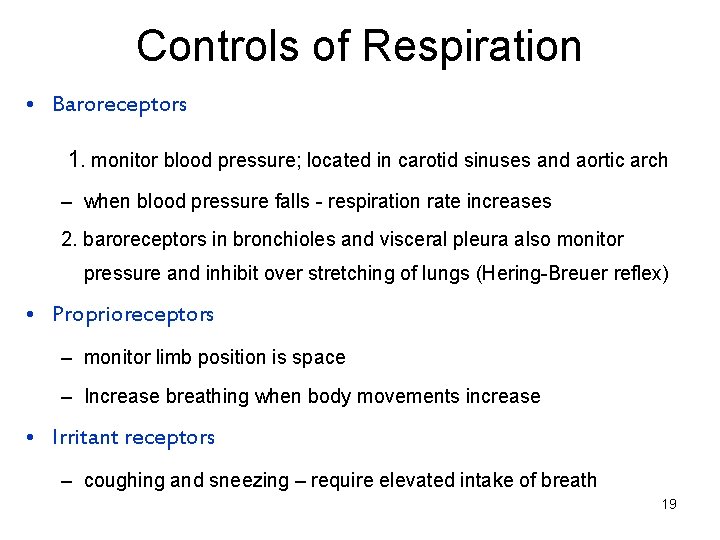 Controls of Respiration • Baroreceptors 1. monitor blood pressure; located in carotid sinuses and