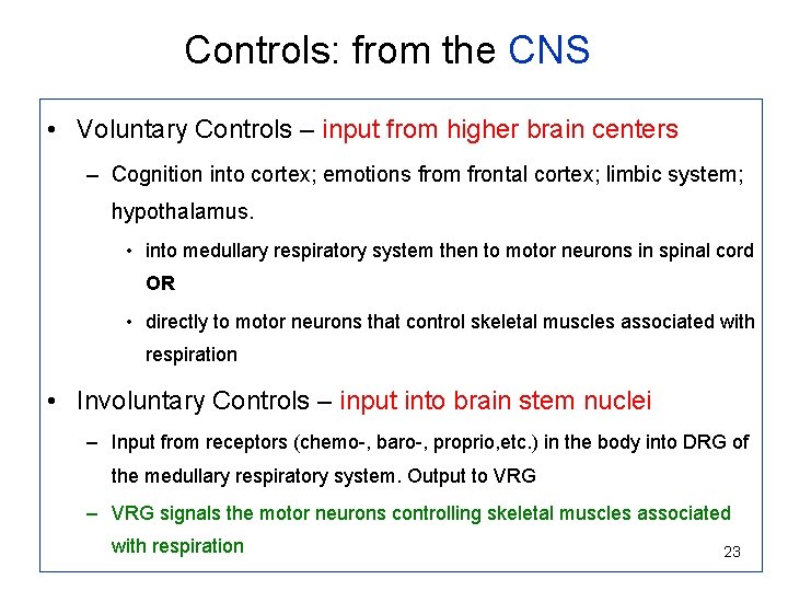 Controls: from the CNS • Voluntary Controls – input from higher brain centers –