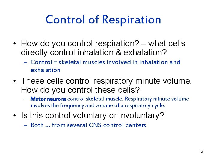 Control of Respiration • How do you control respiration? – what cells directly control