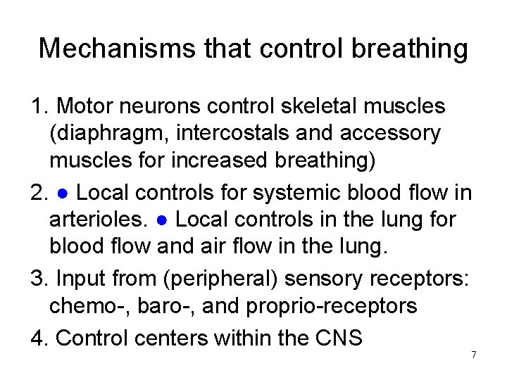 Mechanisms that control breathing 1. Motor neurons control skeletal muscles (diaphragm, intercostals and accessory
