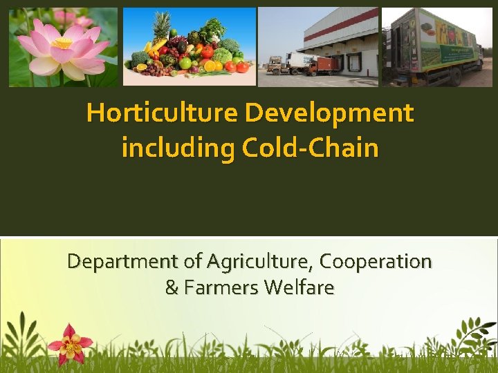 Horticulture Development including Cold-Chain Department of Agriculture, Cooperation & Farmers Welfare 