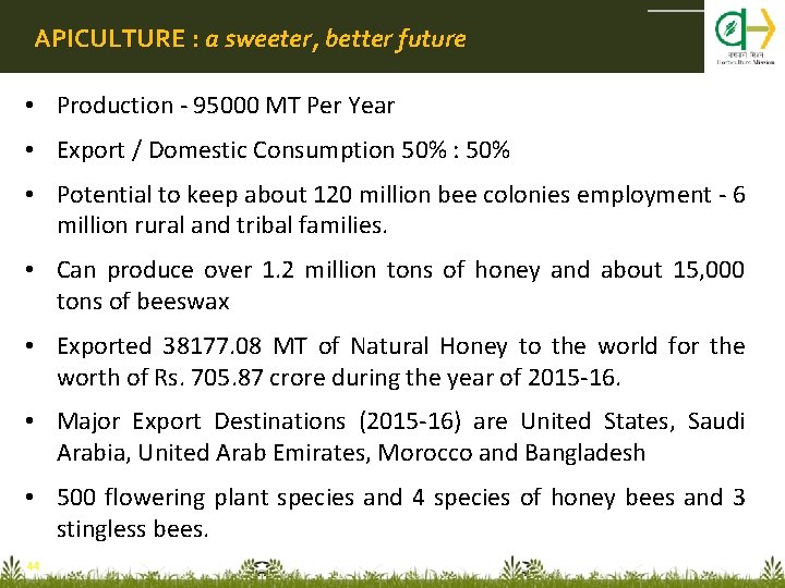 APICULTURE : a sweeter, better future • Production - 95000 MT Per Year •