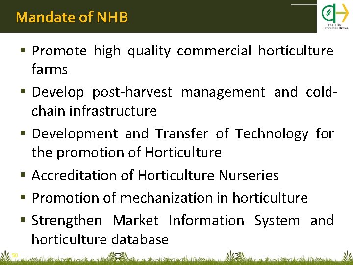 Mandate of NHB Promote high quality commercial horticulture farms Develop post-harvest management and coldchain