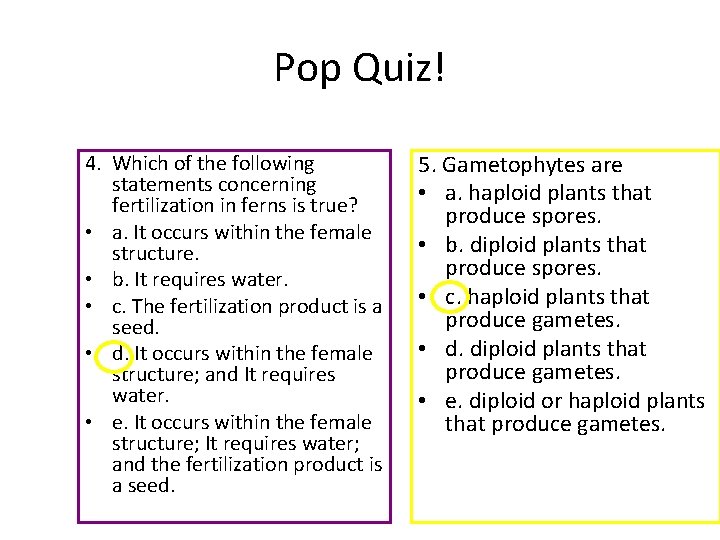 Pop Quiz! 4. Which of the following statements concerning fertilization in ferns is true?