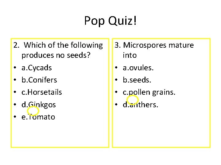 Pop Quiz! 2. Which of the following produces no seeds? • a. Cycads •