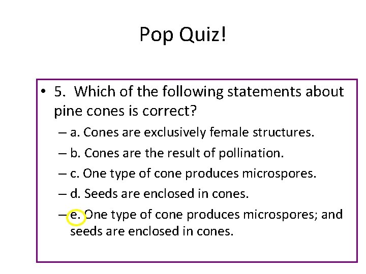 Pop Quiz! • 5. Which of the following statements about pine cones is correct?