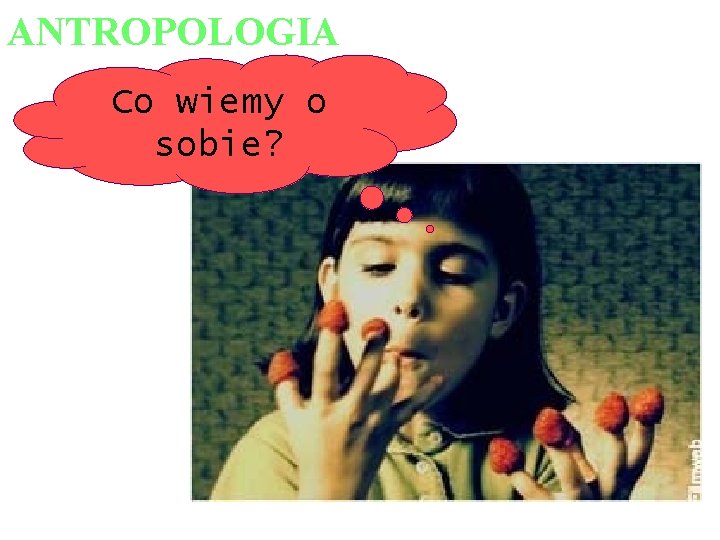 ANTROPOLOGIA Co wiemy o sobie? 