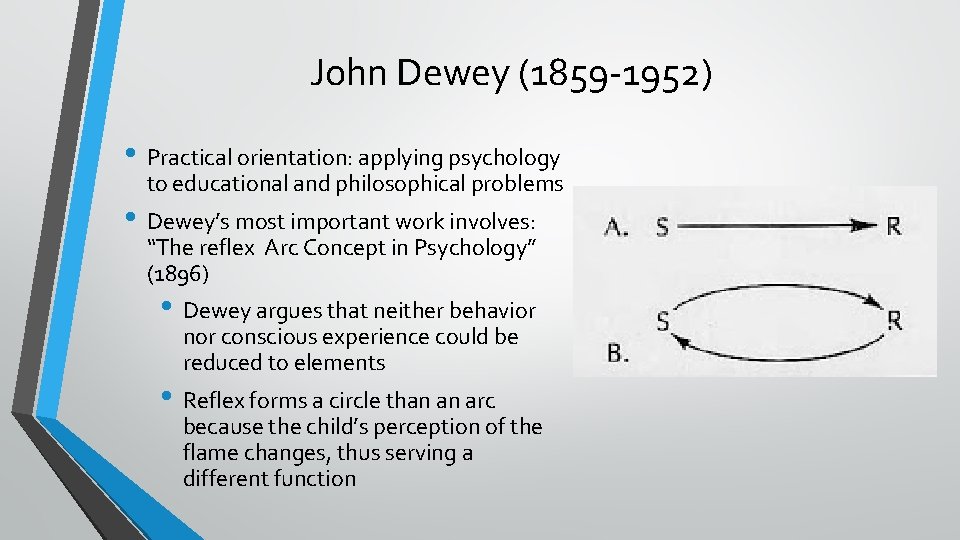 John Dewey (1859 -1952) • Practical orientation: applying psychology to educational and philosophical problems