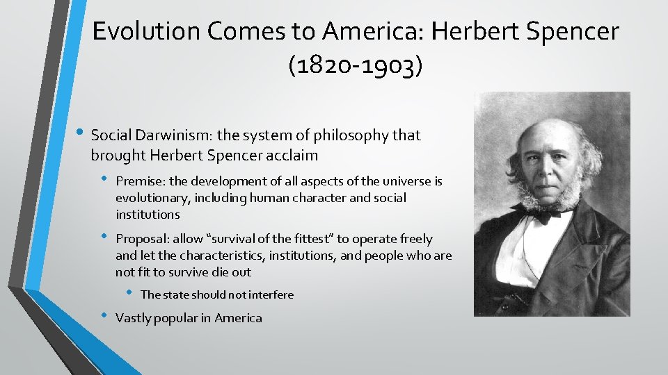 Evolution Comes to America: Herbert Spencer (1820 -1903) • Social Darwinism: the system of