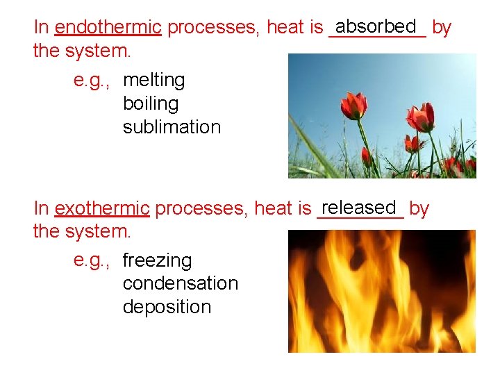 absorbed by In endothermic processes, heat is _____ the system. e. g. , melting